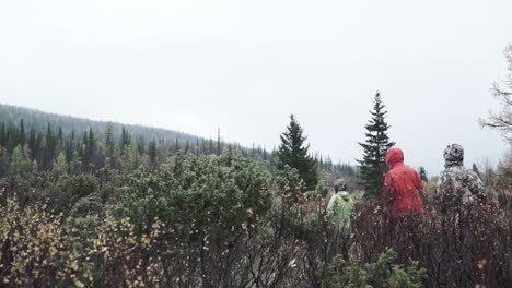 excursionistas en un bosque de niebla