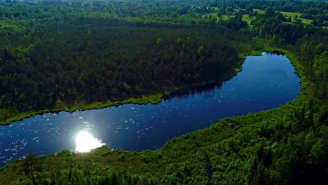 Drone-view-over-lake-surrounded-by-thick-green-forest