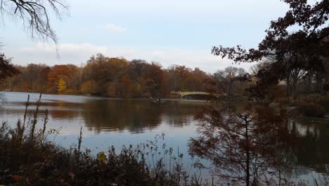 New-York-central-park-lake-with-little-boats-on-it-during-autumn