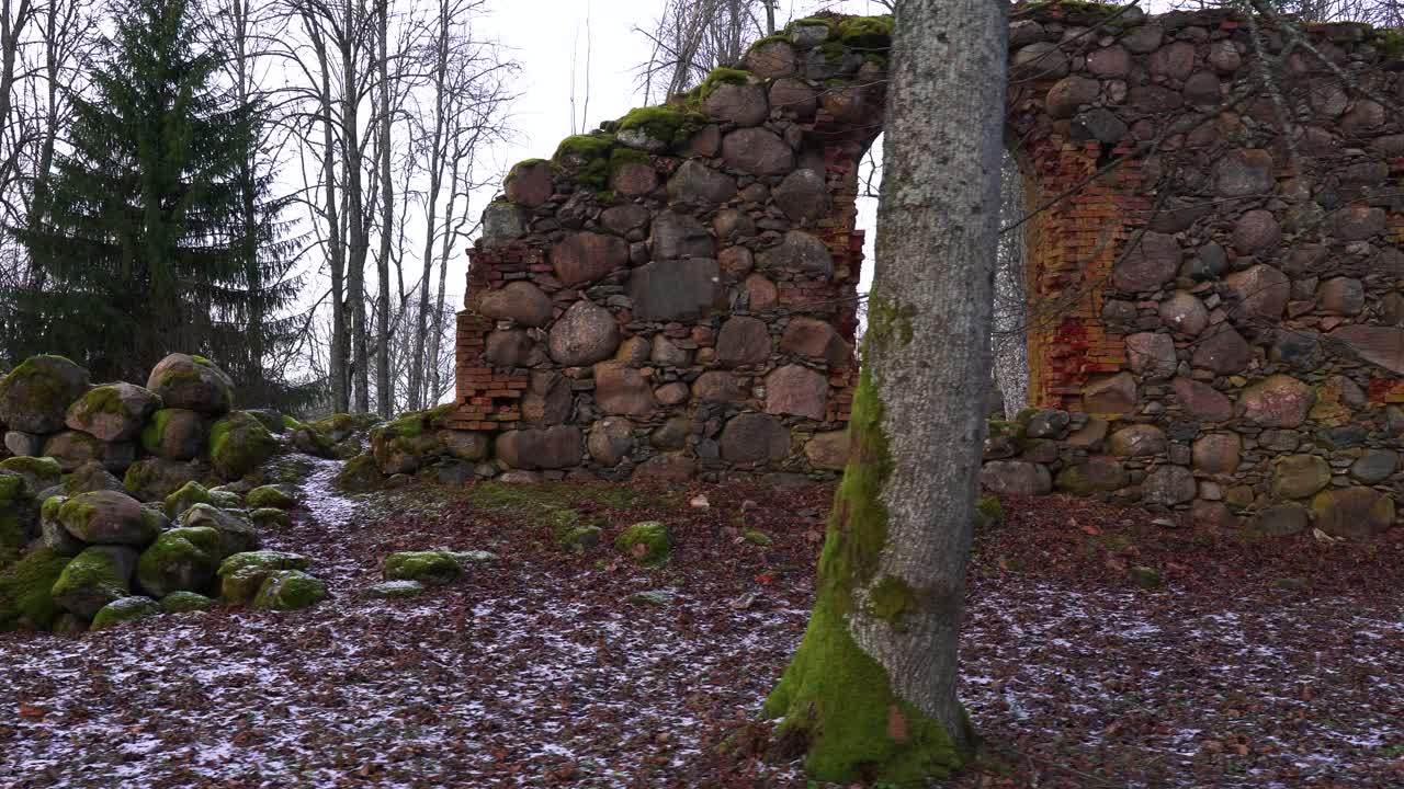 las ruinas de la pared de la iglesia olvidada en el sombrío entorno forestal del campo