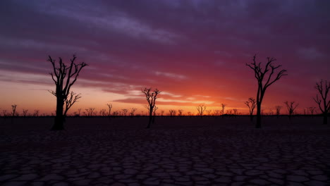 sunset over a barren desert landscape