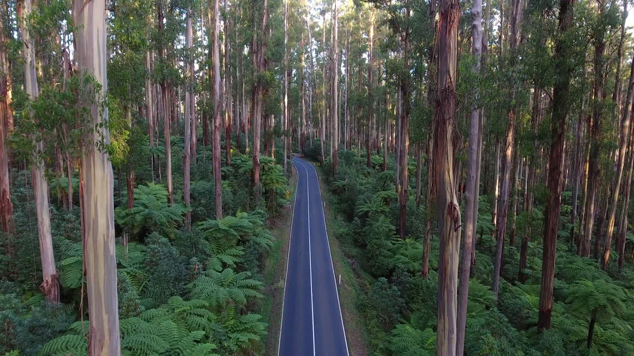 검은 박차를 통해 비행
