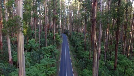 Flying-through-the-Black-Spur