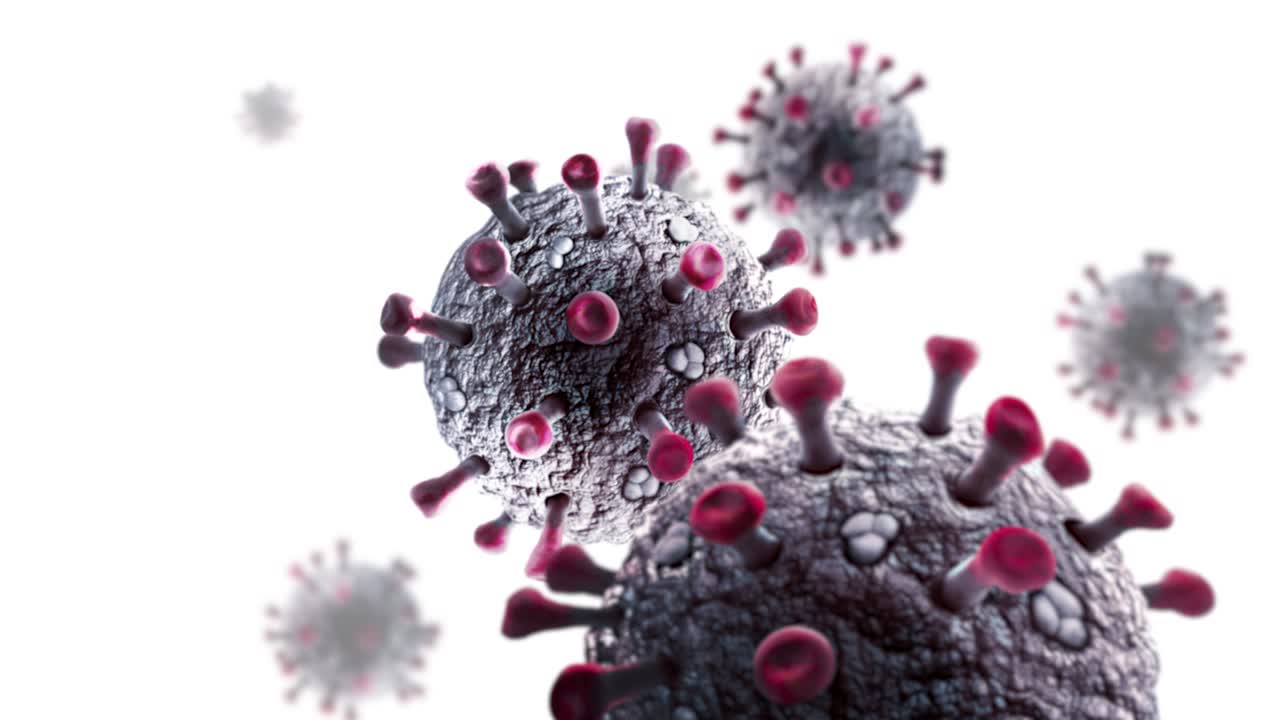 Virus isolati su sfondo bianco. Animazione in loop continuo.