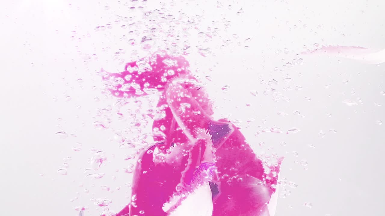 Tulipanblade falder i vand. Baggrund. Slowmotion