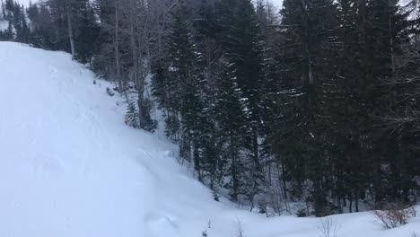 Aerial-drone-view-on-winter-pine-forest-wilderness-at-Jahorina-mountain