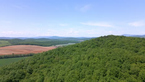 Drone-Volando-Sobre-Una-Colina-En-Campos-De-Trigo-Verde