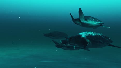 prehistoric sea turtles in the deep ocean