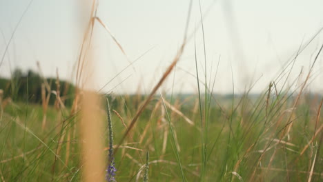 young woman in white hat and green skirt walks uphill across vast green cliff with camera hanging around neck, surrounded by open fields, trees, and distant hills under bright daylight sky