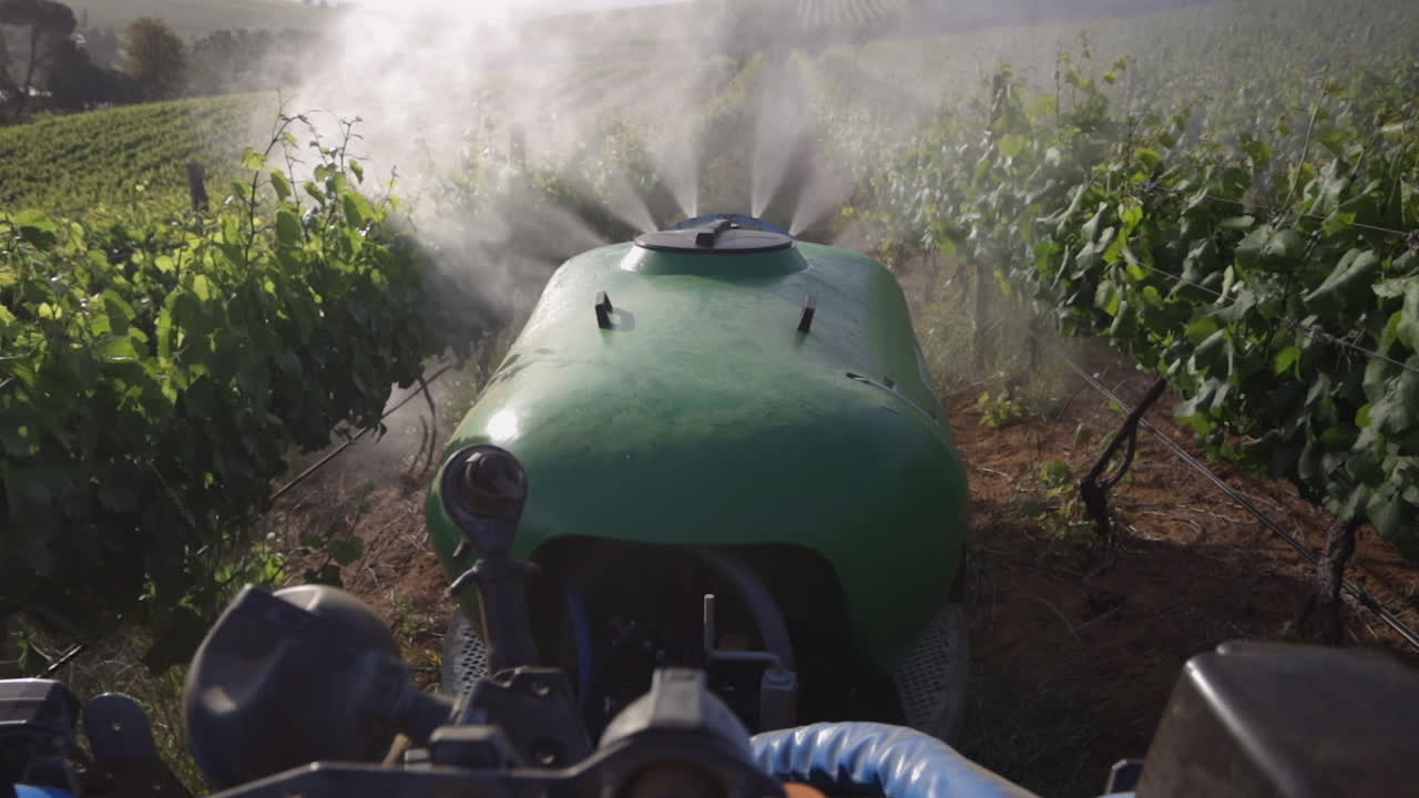 POV dal trattore del vigneto: L'irroratore nebulizza pesticida sui vitigni