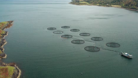 Piscifactorías-En-Escocia