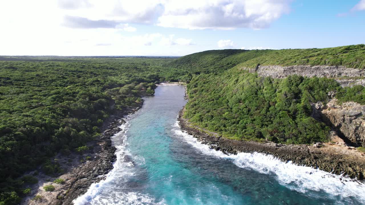 Giungla selvaggia e costa rocciosa della Guadalupa, vista aerea