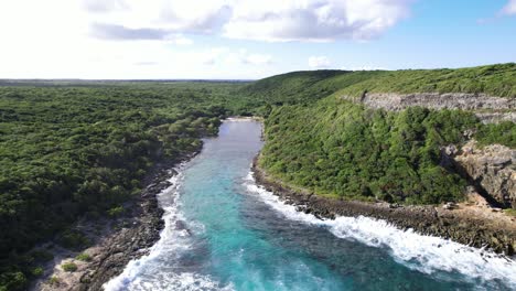 wild jungle and rocky coastline of guadeloupe, aerial view