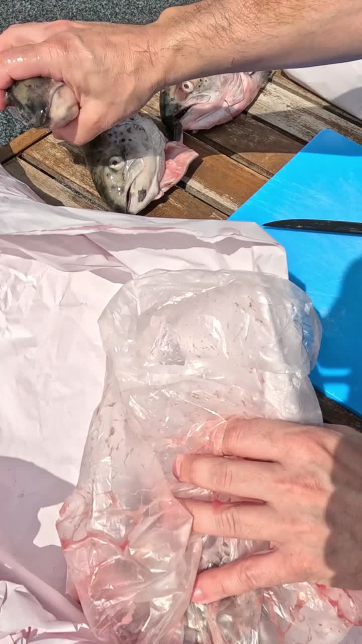 두 사람 이 야외 에서 물고기 를 풀고 준비 하고 있다