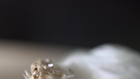 macro-close-up-of-unpeeled-garlic-on-chopping-board