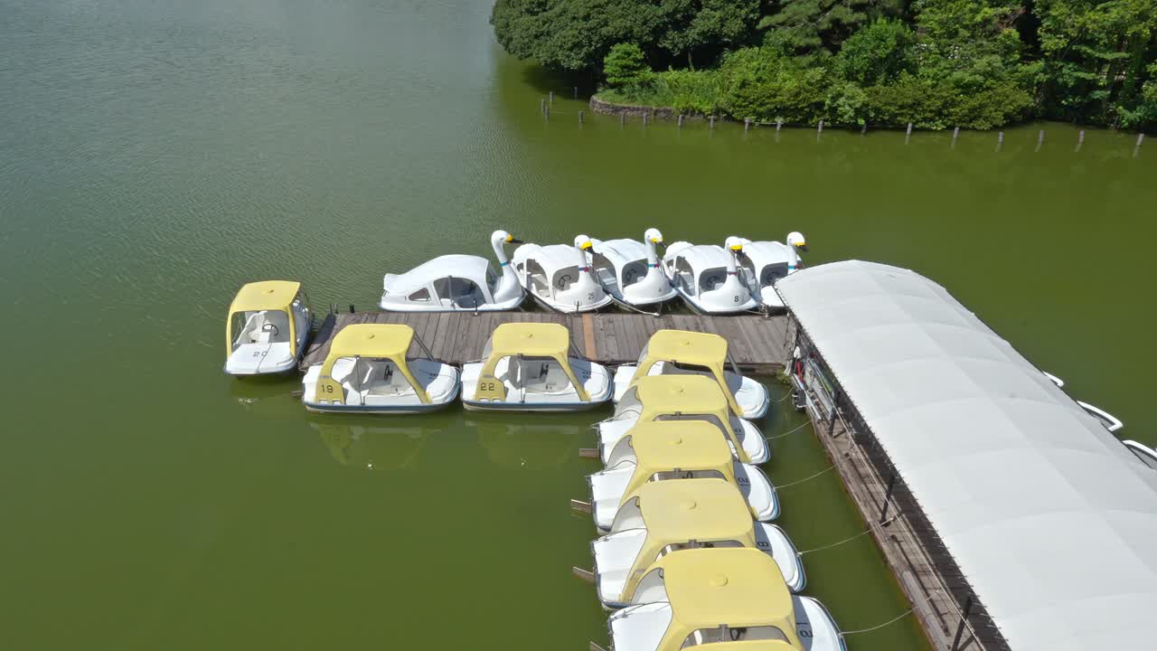 An aerial view shows the tranquil green waters of Senzokuike Pond in Tokyo, with numerous swan and pedal boats docked, surrounded by lush trees under a bright sky.