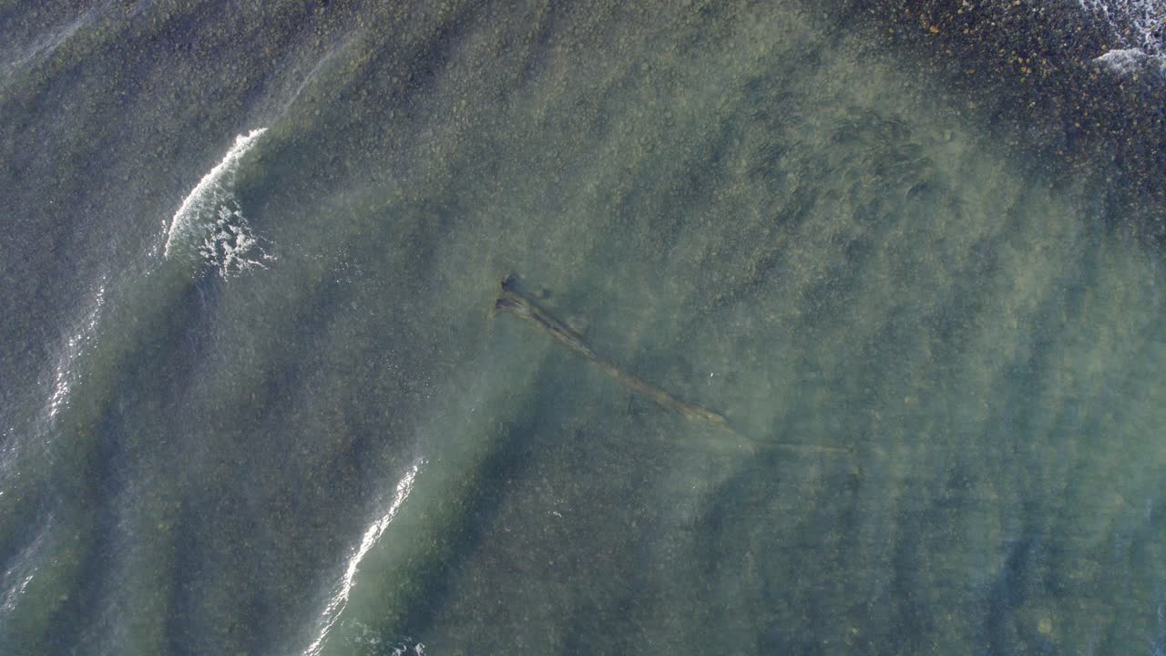 호주 퀸즐랜드 열대 북부의 산호해에서 만나는 파도