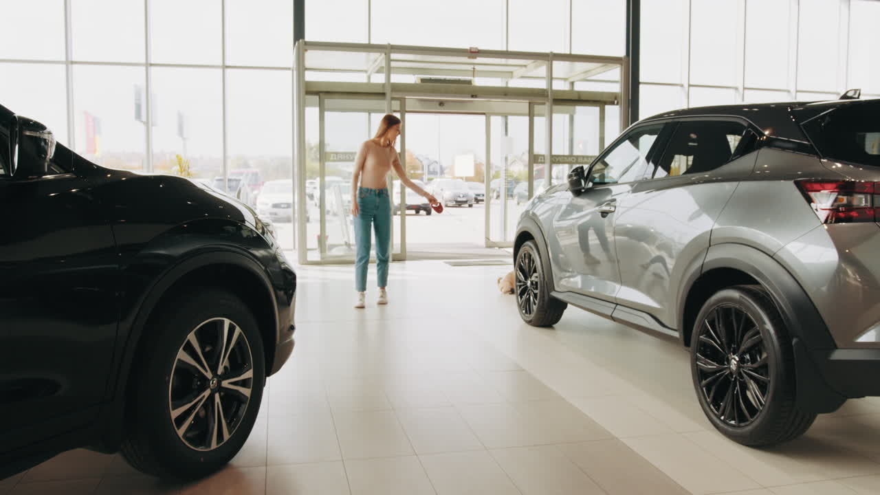 자동차 대리점에서 여자와 개