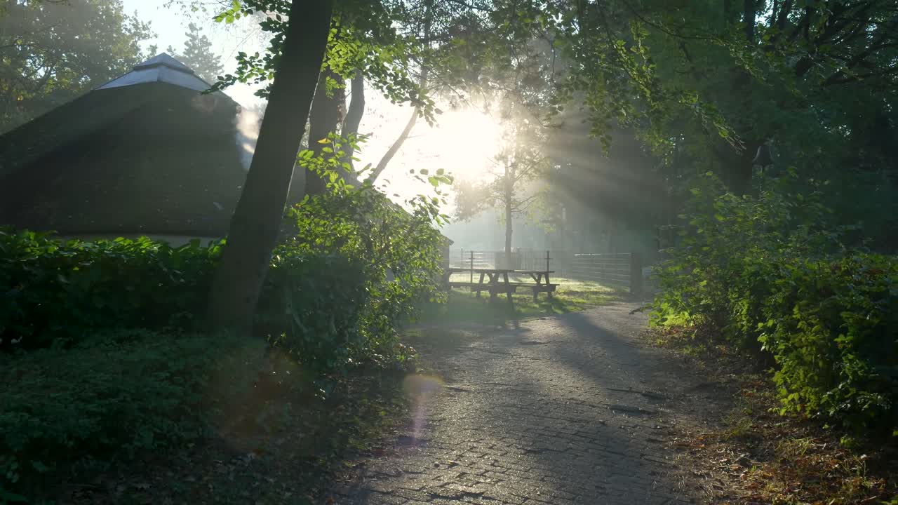 Foggy Morning Scene with Pathway and Picnic Table
