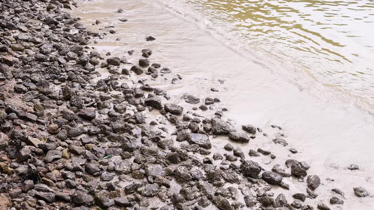 una escena serena de la playa con las olas lavando suavemente sobre una costa rocosa, capturada en la iluminación natural