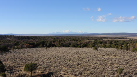 Flight-over-a-western-landscape-in-Norwood,-Colorado,-surrounded-by-green-bushes-with-blue-sky-and-mountain-in-background