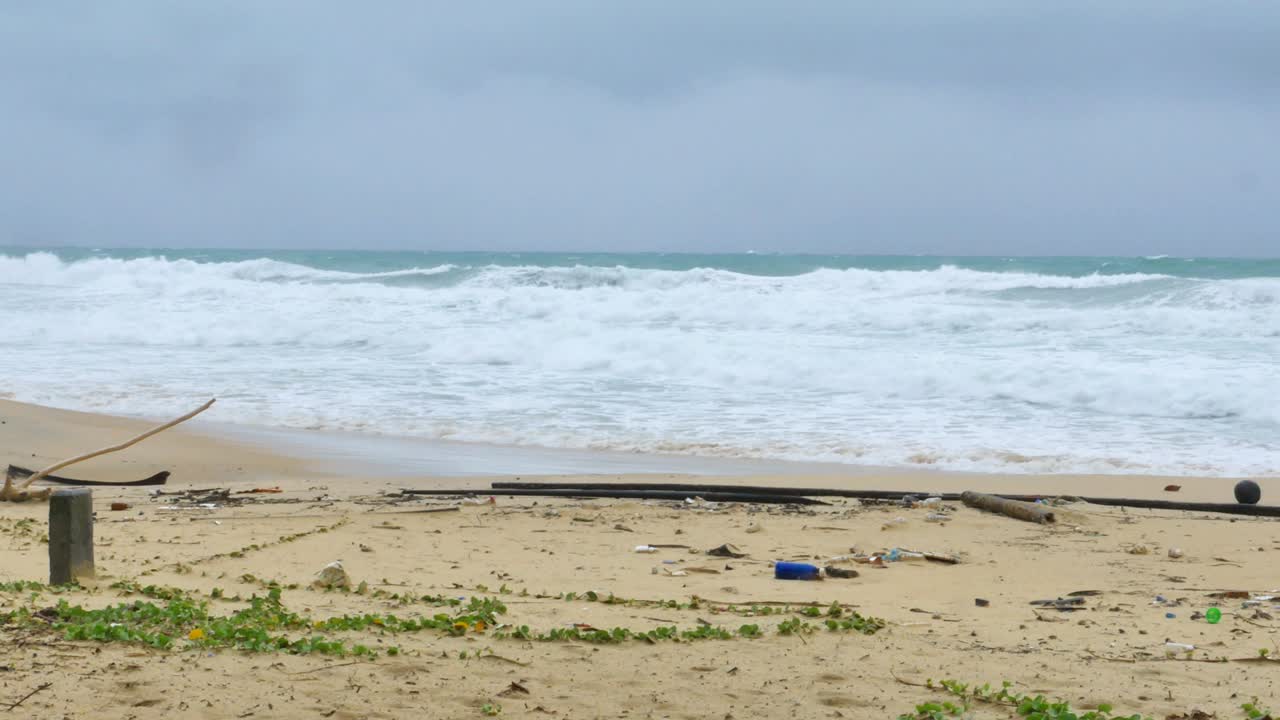 폭풍과 비가 올 때 큰 물결이 생기고, 큰 물결은 먼지를 고, 나무가 해변에 어져, 이 해변을 는다.