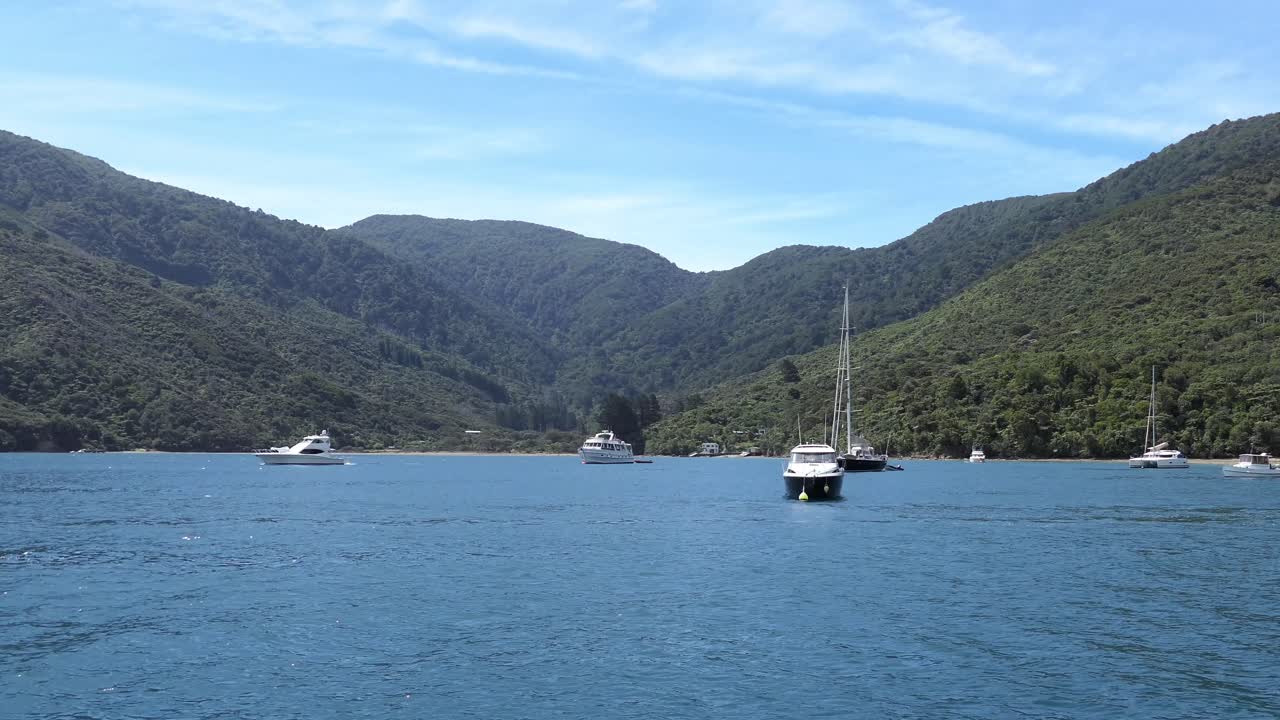 정박 중인 요트와 여름철 보트 활동이 있는 아름다운 푸른 물 - 입구, 퀸 샬럿 사운드
