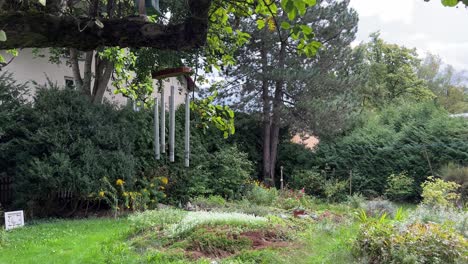 static shot of wind chimes hanging in a slightly enchanted feral garden