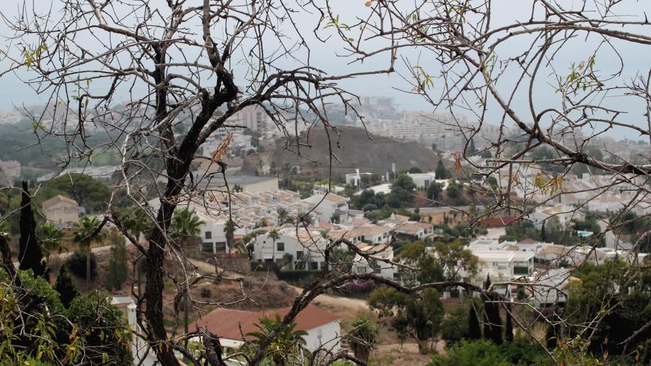 hermosa diapositiva del paisaje urbano mediterráneo disparada detrás de las ramas