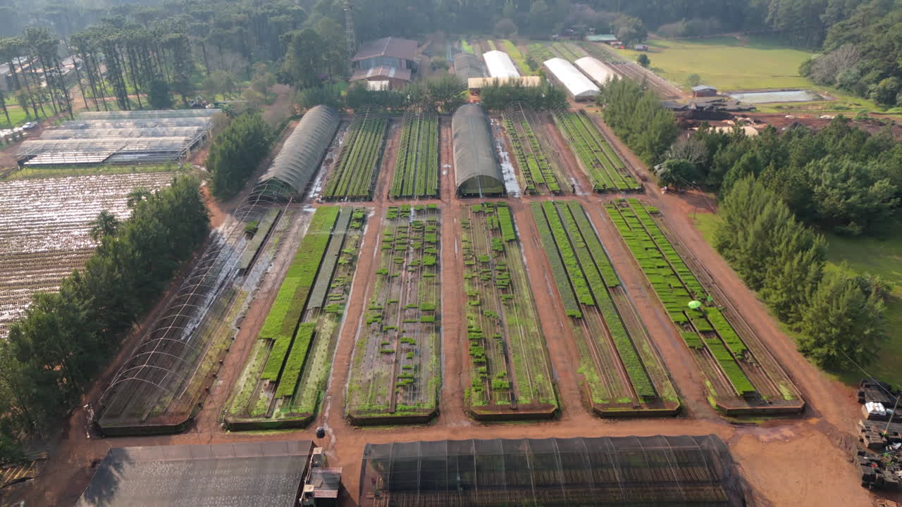 Aerial view of agricultural complex with greenhouses and tree nurseries, Argentina