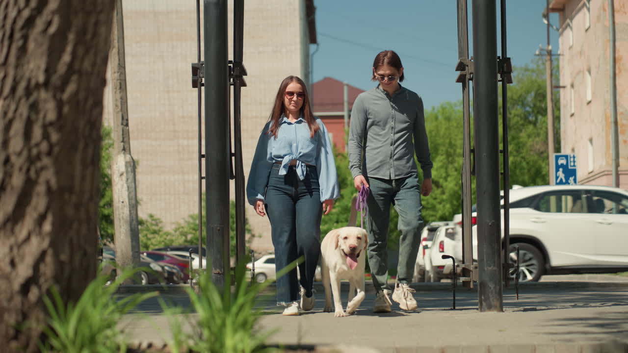Sesión de adiestramiento de obediencia de un labrador en un entorno urbano durante el día; una pareja trabaja diligentemente en el control con la correa y las órdenes con su labrador cerca del paisaje urbano a la luz del sol