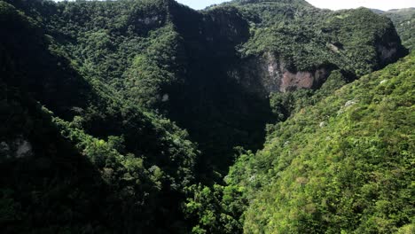 Forest-around-at-Muchas-Aguas-area,-San-Cristobal