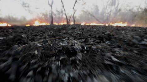 Vista-De-ángulo-Bajo-De-La-Maleza-Quemada-Mientras-Un-Incendio-Forestal-Se-Propaga-En-La-Sabana-Brasileña