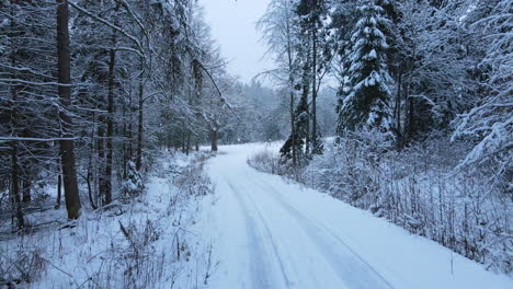 Verschneite-Winterstraße-Zwischen-Bäumen-Im-Landkreis-Deby,-Polen