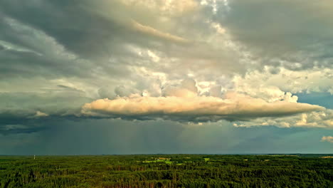 dark storm clouds advance over a vast, dense forest, capturing the contrast between the green landscape and the dramatic sky