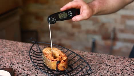 checking the internal temperature of grilled salmon