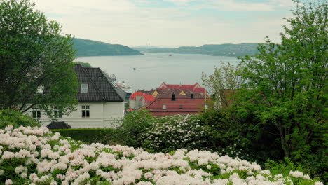 beautiful view of the fjord in bergen, norway