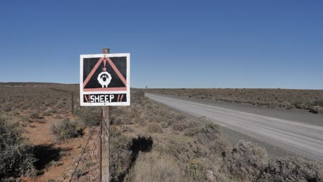 static shot: homemade road sign warns of sheep on road ahead, blue sky