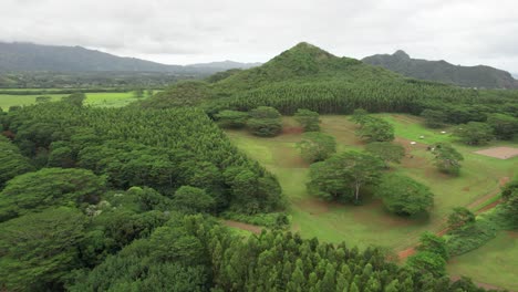 Kauai-Hawaii-Landschaftsdschungel-Drohnenaufnahmen