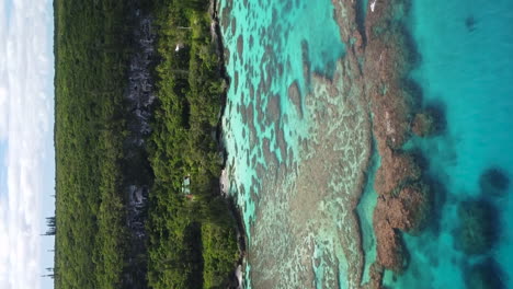 Antena:-Isla-Maré-En-Islas-De-Lealtad-De-Nueva-Caledonia,-Playa-Aislada-De-Arrecifes-De-Coral