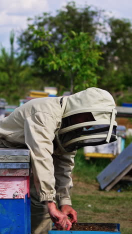 male apiarist wearing protective uniform and hat working in the bee farm. man checking the honey harvest at his apiary. vertical video