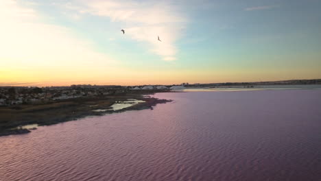 Fliegende-Vögel-über-Rosa-See-Bei-Sonnenuntergang-In-Torrevieja-In-Der-Provinz-Alicante-In-Spanien