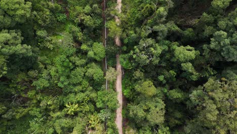 aerial view of the northern rivers rail trail leading to the old burringbar range train tunnel. tweed heads australia.