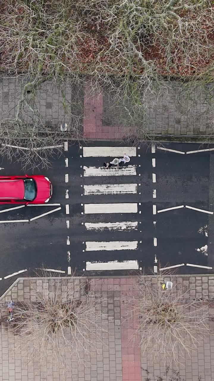 Vertical drone top-down over cars stopped at zebra crossing for passenger
