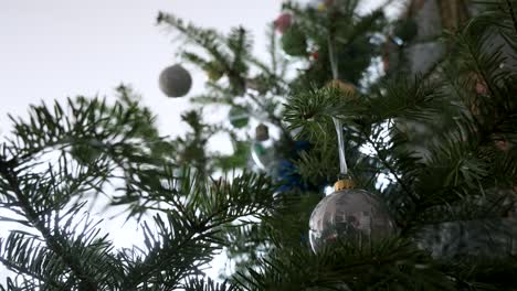 christmas tree and silver and blue balls ornament decorations seen hanging from a decorated christmas pine tree