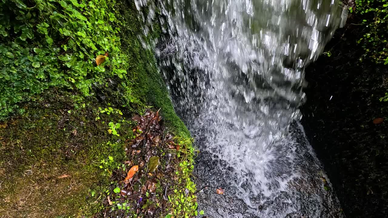 Flowing water over mossy rocks and greenery