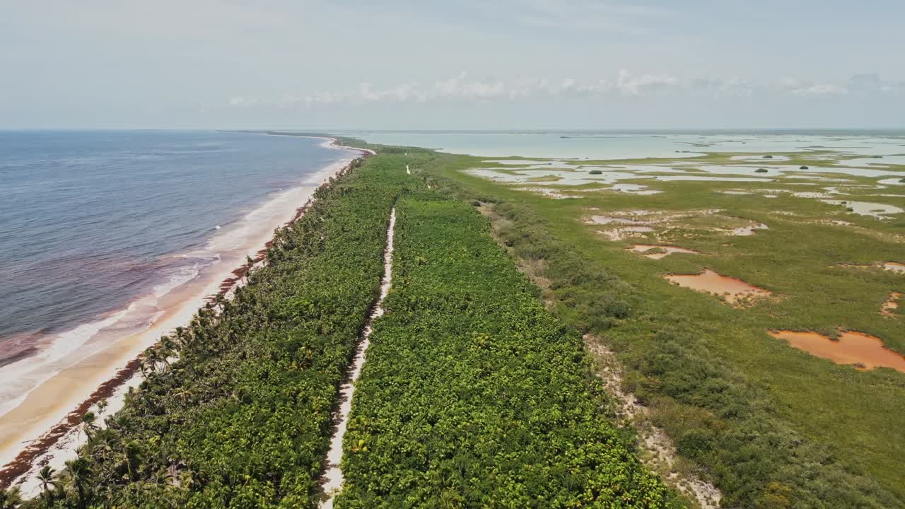 Tropical Forests, Mangroves And Marshes Of Sian Kaʼan Biosphere Reserve In Mexico. Aerial Drone Shot
