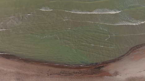 Aerial-view-greenish-or,-in-other-words,-blooming-sea-water-washes-the-sand-of-the-beach-in-the-early-autumn-morning