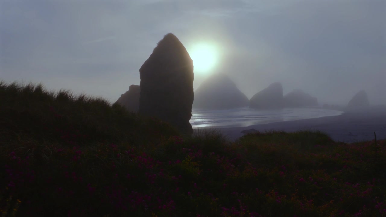 Tunnelmallinen syvyys, jonka luo paksu sumu värikkäiden kevätkukkien kera Meyers Beachillä Oregonin rannikolla, auringon valaisemana takaa.
