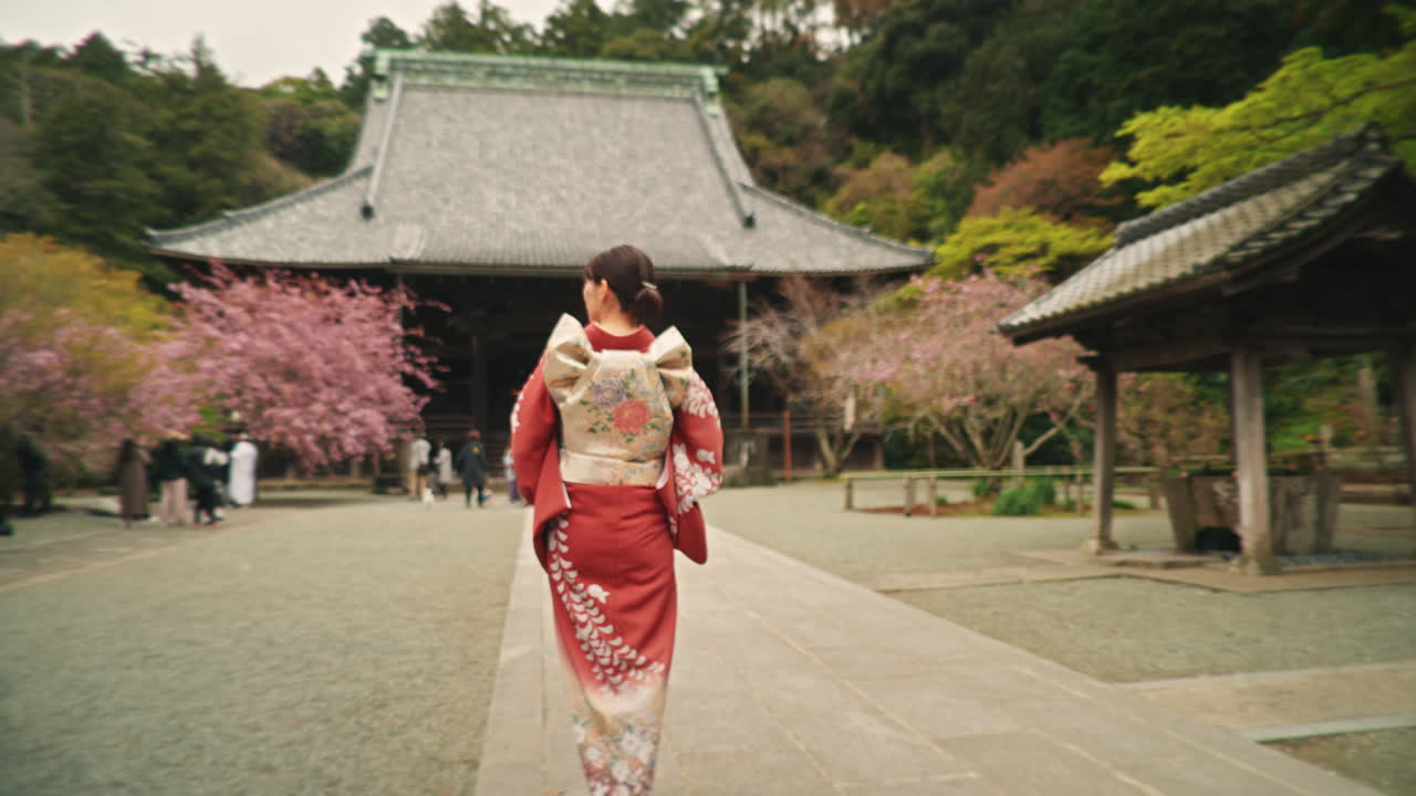 Woman in Kimono at a Temple with Cherry Blossoms